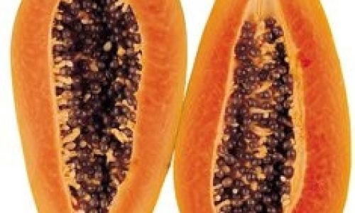 How to Store Papayas for Optimal Freshness and Longevity