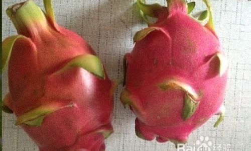 How to Properly Store Dragon Fruit for Optimal Freshness