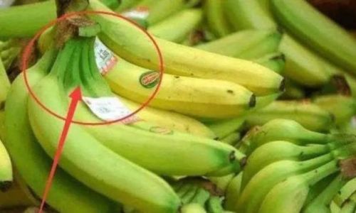 How to Ripen Bananas:A Comprehensive Guide