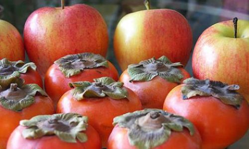 How to Ripen Persimmons:Effective Techniques and Tips
