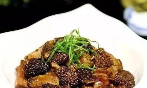Mastering the Art of Handling Morels:A Comprehensive Guide