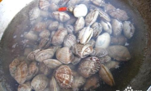 How to Handle Clams:A Comprehensive Guide