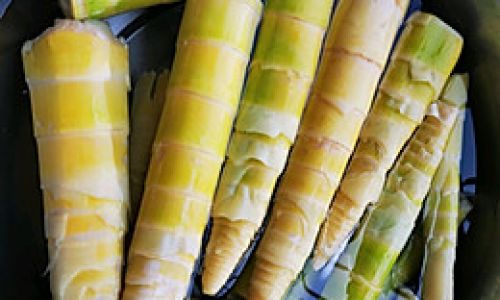 How to Manage and Utilize Reed Shoots:A Comprehensive Guide