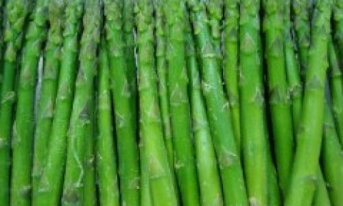How to Manage and Utilize Reed Shoots:A Comprehensive Guide