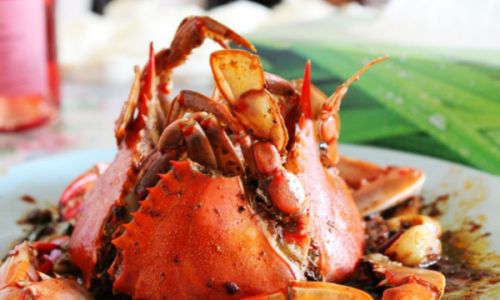 How to Handle Live Swimming Crabs Portunus Trituberculatus)