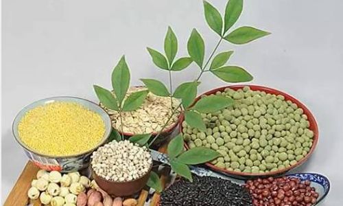 How to Store Whole Grains Properly for Optimal Freshness and Nutrition