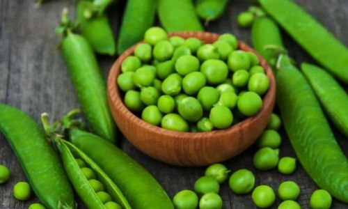 How to Properly Store Pea Pods:A Comprehensive Guide