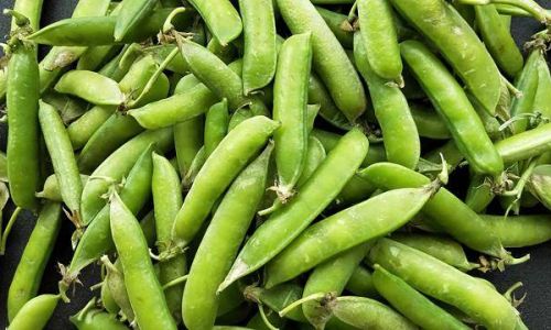 How to Properly Store Pea Pods:A Comprehensive Guide