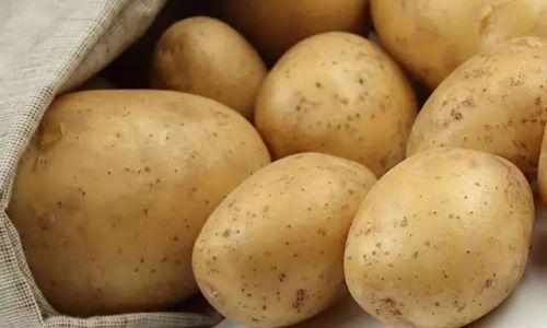 How to Store Potatoes to Prevent Sprouting