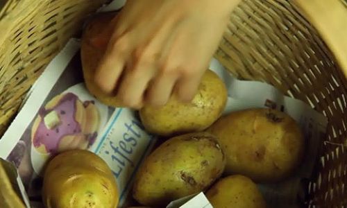 How to Store Potatoes to Prevent Sprouting