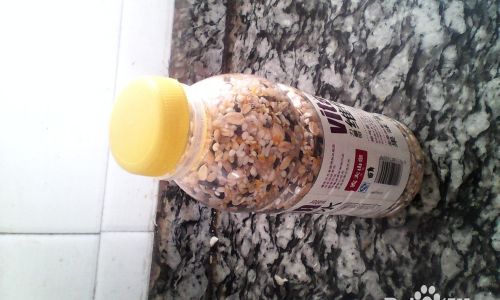 How to Store Rice Effectively to Prevent Insect Infestation