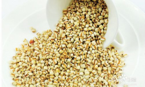 How to Consume Coix Seed Jobs Tears)for Optimal Health Benefits