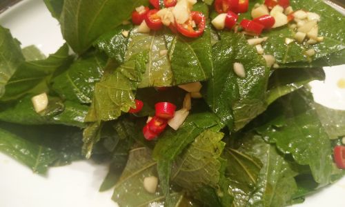 Mastering the Art of Eating Perilla Leaves:A Culinary Exploration