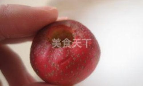 How to Consume Hawthorn Seeds:A Comprehensive Guide