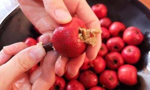How to Consume Hawthorn Seeds:A Comprehensive Guide