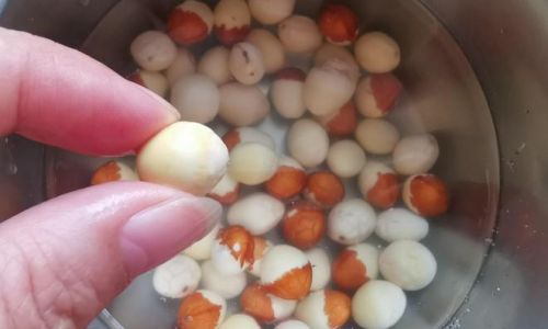 How to Consume Dried Ginkgo Nuts