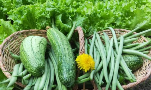 How to Enjoy Eating Green Vegetables:A Comprehensive Guide