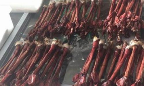 A Comprehensive Guide on How to Enjoy Deer Sinew:A Culinary Delight