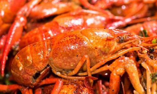 How to Enjoy Lobster:A Culinary Guide