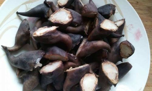 How to Enjoy Water Chestnuts:The Optimal Way to Consume This Aquatic Delicacy