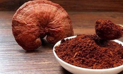 How to Consume Lingzhi Spore Powder for Optimal Health Benefits