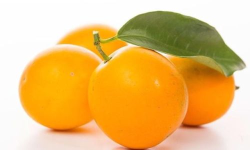 Maximizing the Benefits of Eating Kumquats:A Comprehensive Guide