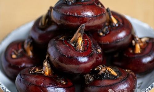 How to Enjoy Water Chestnuts to the Fullest