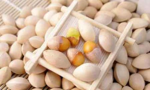 How to Enjoy Ginkgo Nuts:A Comprehensive Guide