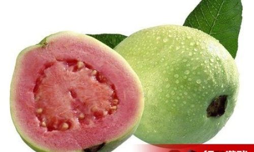 How to Enjoy Eating Guava:A Comprehensive Guide