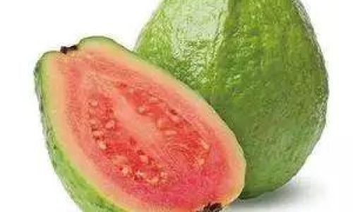 How to Enjoy the Deliciousness of the Guava Fruit
