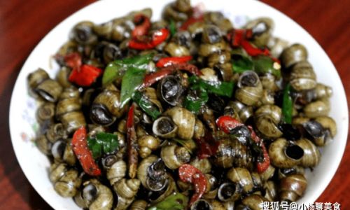 Mastering the Art of Stir-Frying Snail Meat:A Comprehensive Guide