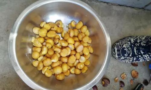 Mastering the Art of Roasting Qianxi Chestnuts for Easy Peeling