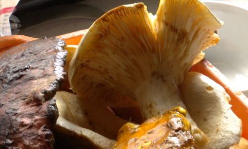 How to Stir-Fry Mushrooms:A Culinary Guide