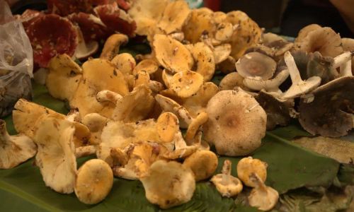 How to Stir-Fry Mushrooms:A Culinary Guide