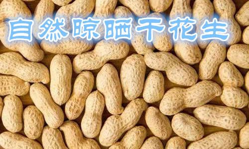 How to Roast Shelled Peanuts Perfectly