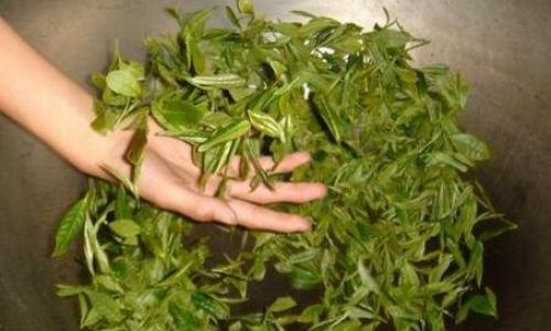 The Art of Roasting Tea Leaves:A Comprehensive Guide