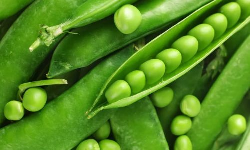 Mastering the Art of Cooking Delicious Stir-Fried Peas