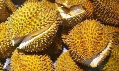 How to Determine if a Durian is Ripe:A Comprehensive Guide