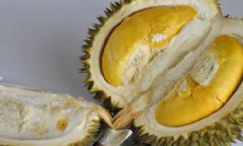 How to Determine if a Durian is Ripe:A Comprehensive Guide