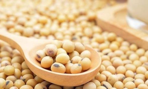 How to Know When Soybeans Are Fully Cooked