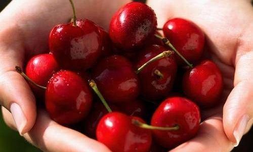How to Select Delicious Cherries:A Comprehensive Guide