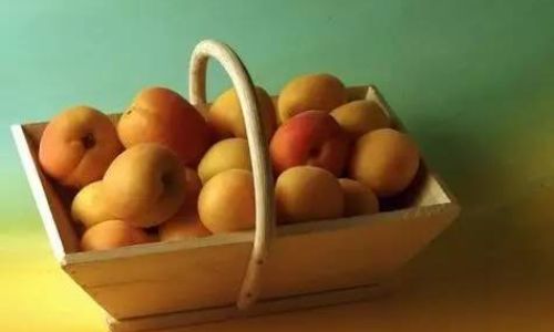 How to Maintain the Freshness of Fruits:Expert Tips and Practical Strategies