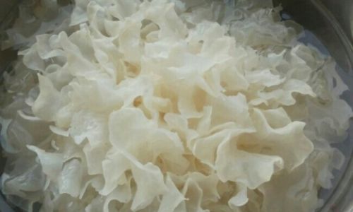 Mastering the Art of Cooking Sticky Tremella Mushrooms