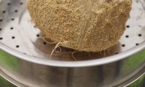 Mastering the Art of Extracting Coconut Meat:A Comprehensive Guide