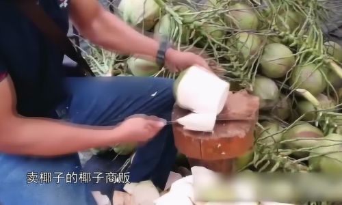Mastering the Art of Extracting Coconut Meat:A Comprehensive Guide