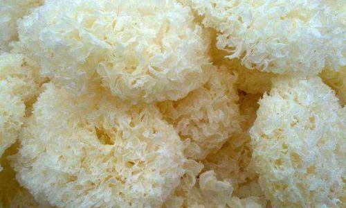 How to Discern the Quality of Tremella fuciformis:A Comprehensive Guide