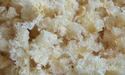 How to Discern the Quality of Tremella fuciformis:A Comprehensive Guide