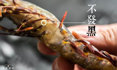 How to Discern the Quality of Shrimp:A Comprehensive Guide