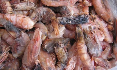 How to Discern the Quality of Shrimp:A Comprehensive Guide