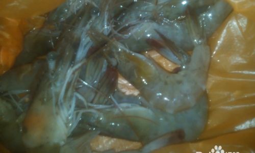 How to Discern the Quality of Shrimp:A Comprehensive Guide